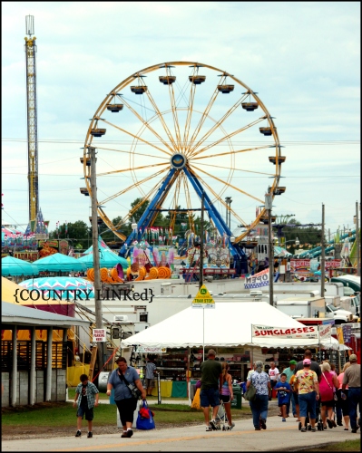 Blog Party - County Fair